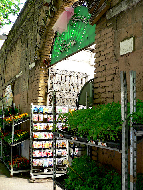 Ein Text zum Frühlingsanfang (meteorologisch)