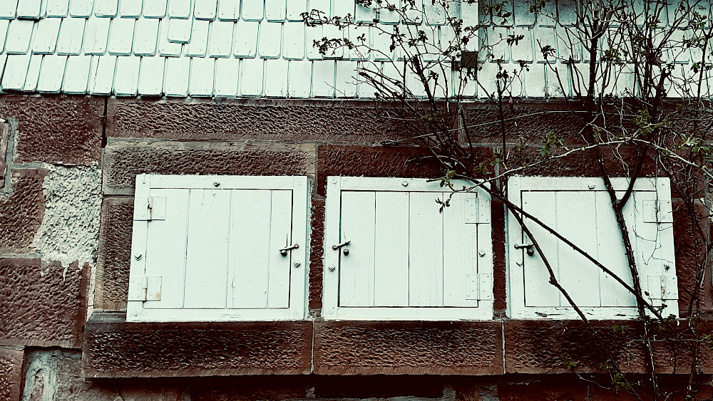 alles was ist was ist