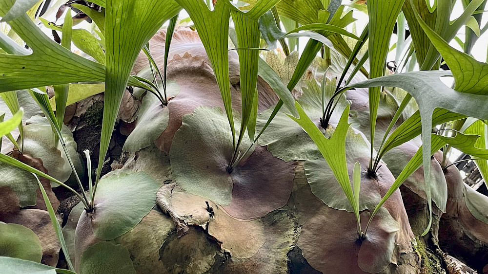 Des Planeten Planet Des Planeten Planet