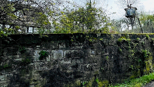 Erst eine Mauer, dann ein Turm