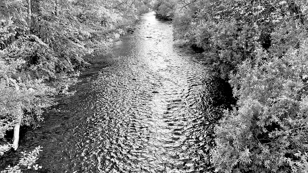 Die Rippen des Flusses