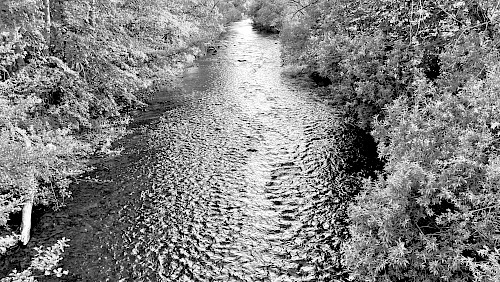 Die Rippen des Flusses