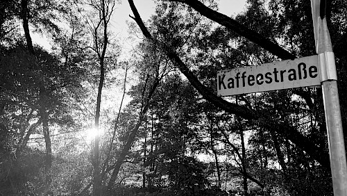 Wer wohnte da nicht gern