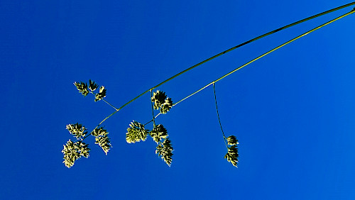 Hundert Kilometer hinauf