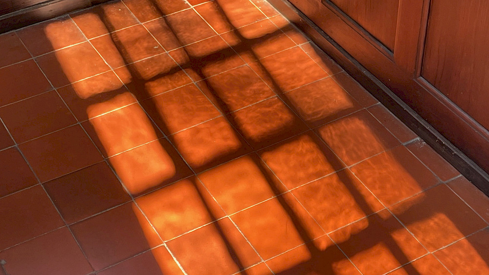 Abenteurertum, Utopismus, Pfuscherei und Raub